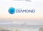 Ebrochure Diamond Non telp_page-0001